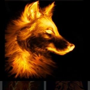 Meet your Posher, Jaden